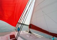 skipper on bow bowman trimaran neel 45 sails sailing deck 1